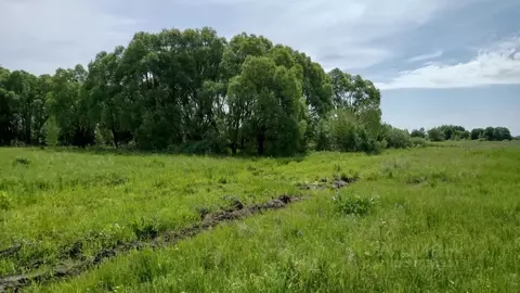Участок в Московская область, Егорьевск муниципальный округ, д. ...