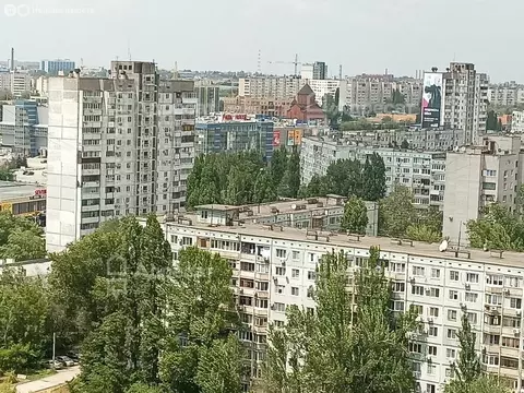 1-комнатная квартира: Волгоград, район Семь Ветров, бульвар 30-летия ...