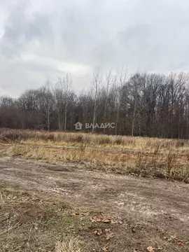 Участок в Владимирская область, Владимир д. Уварово, ул. Малая ...