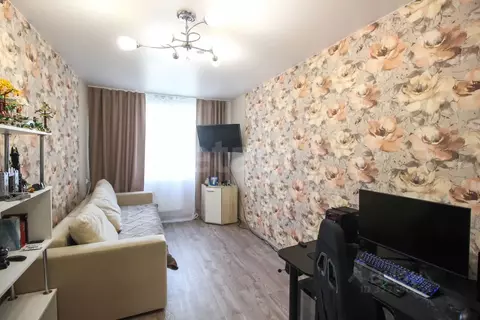 Студия Алтайский край, Барнаул Северный Власихинский проезд, 102 (31.5 ...