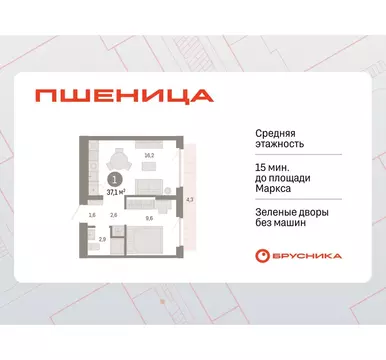 1-комнатная квартира: Новосибирский район, рабочий посёлок Краснообск, ...