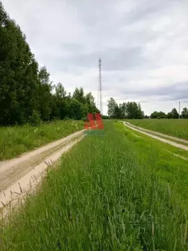 Участок в Ярославская область, Рыбинский муниципальный округ, д. ...