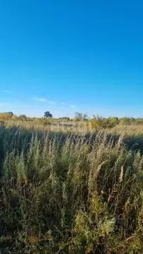 Участок в Амурская область, Благовещенский район, пос. Заречный Новая ...