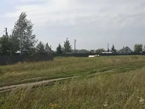 Участок в Рязанская область, Рязанский муниципальный округ, Тюшевское ...