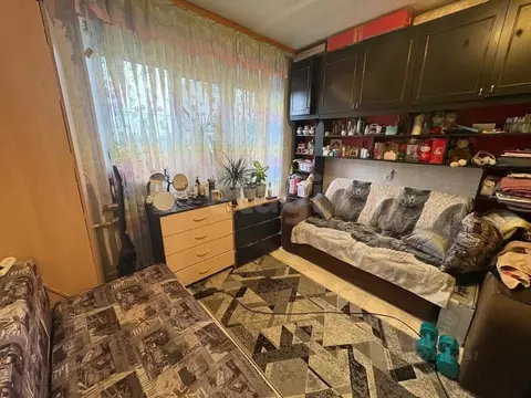 1-к кв. Челябинская область, Челябинск Вязовая ул., 31 (22.1 м)