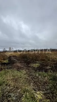 Участок в Тюменская область, Нижнетавдинский муниципальный округ, д. ...