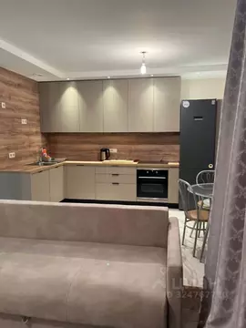 1-к кв. Московская область, Истра муниципальный округ, д. Воронино, ...