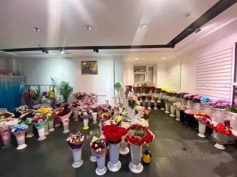 Помещение свободного назначения в Ямало-Ненецкий АО, Ноябрьск ул. ...