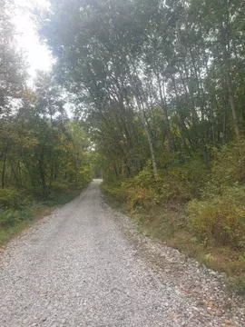 Дом в Хабаровский край, Хабаровск Даурия СНТ, 91 (20 м)