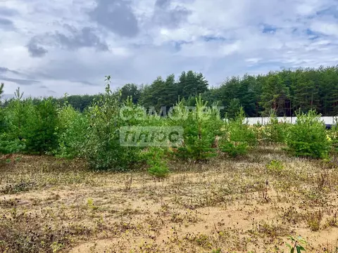 Участок в Пермский край, Березники муниципальный округ, пос. Орел  ...