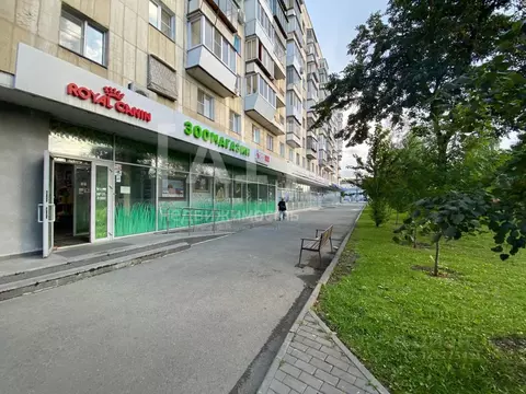 Помещение свободного назначения в Челябинская область, Челябинск ул. ...