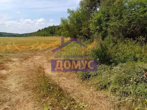 Участок в Белгородская область, Белгородский район, Пушкарское с/пос, ...