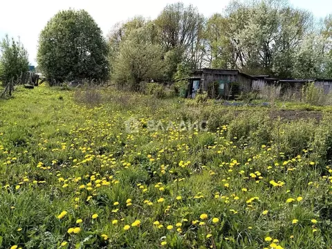 Участок в Владимирская область, Суздальский муниципальный округ, с. ...