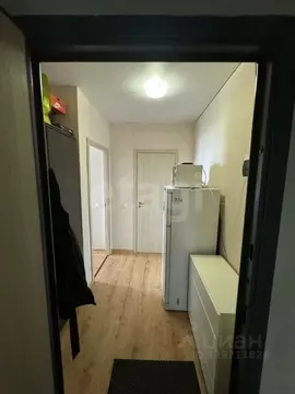 Студия Санкт-Петербург ул. Крыленко, 1к1 (22.5 м)