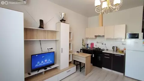 Квартира-студия: Сочи, Восточная улица, 6 (23 м)