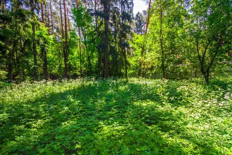 Участок в Московская область, Одинцовский городской округ, пос. Дома ...