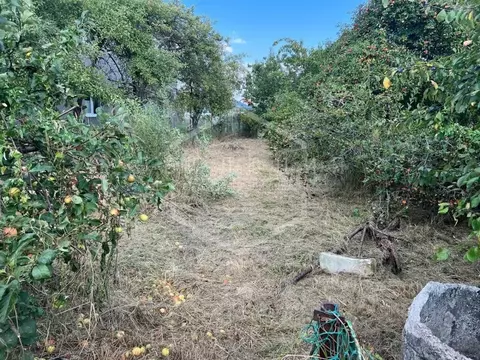 Участок в Калининградская область, Калининград Чайка СНТ, проезд ...