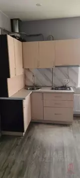 Студия Краснодарский край, Новороссийск Цемдолина тер., ул. Парковая, ...