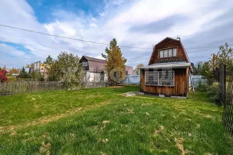 Дом в Новосибирская область, Новосибирск Березка СТ,  (20 м)