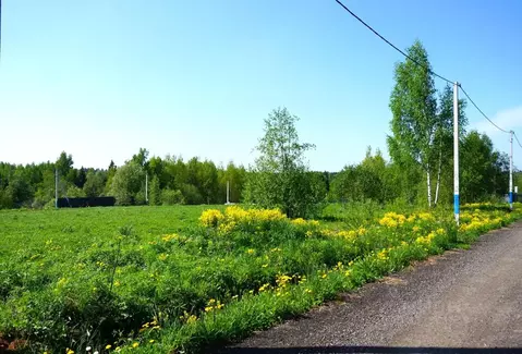 Участок в Московская область, Дмитровский муниципальный округ, д. ...