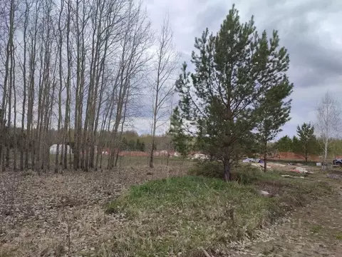 Участок в Тюменская область, Нижнетавдинский муниципальный округ, ...