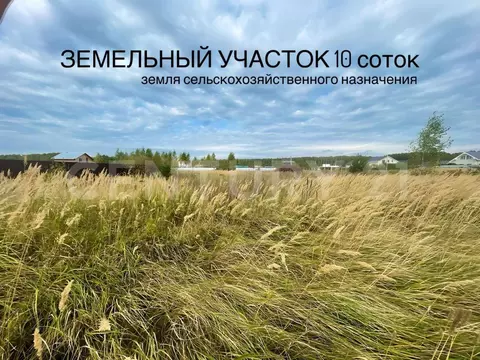 Участок в Московская область, Раменский муниципальный округ, Панино кп ...