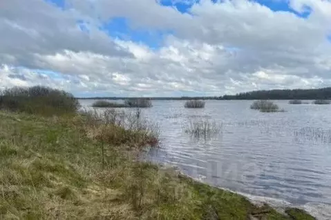 Участок в Новгородская область, Старорусский район, Взвадское с/пос, ...