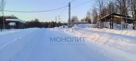 Участок в Московская область, Пушкинский городской округ, Лесная ...