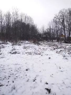 Участок в Калужская область, Боровский муниципальный округ, д. Добрино ...