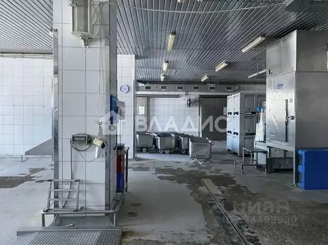 Помещение свободного назначения в Алтайский край, Бийск ...