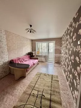 2-к кв. Воронежская область, Воронеж ул. Защитников Родины, 22 (42.0 ...