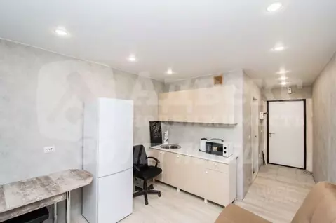 Студия Тюменская область, Тюмень ул. Новоселов, 113 (17.7 м)