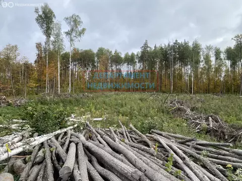 Участок в Димитровград, улица Курчатова, 8 (10 м)