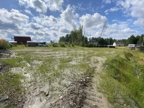 Участок в Санкт-Петербург пос. Парголово, Осиновая Роща исторический ...