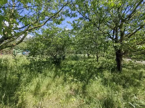 Участок в Ростовская область, Аксайский район, Щепкинское с/пос, ...