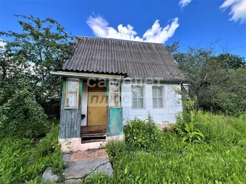 Дом в Брянская область, Брянск Болва садовое общество,  (50 м)