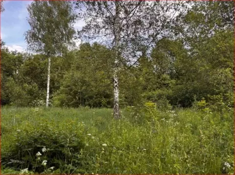 Участок в Московская область, Можайский муниципальный округ, д. ...