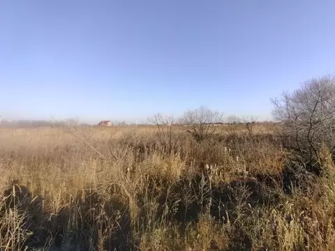 Участок в Приморский край, Октябрьский муниципальный округ, с. ...