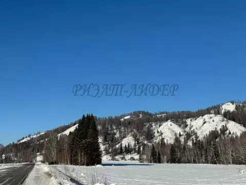 Участок в Алтай, Усть-Коксинский район, с. Курдюм  (54.0 га.)