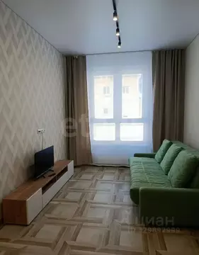 Студия Алтайский край, Барнаул просп. Строителей, 18к1 (36.35 м)