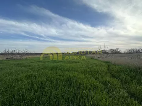 Участок в Краснодарский край, Темрюкский район, Фонталовское с/пос, ...