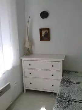 3-к кв. Воронежская область, Воронеж ул. Дарвина, 1 (58.0 м)