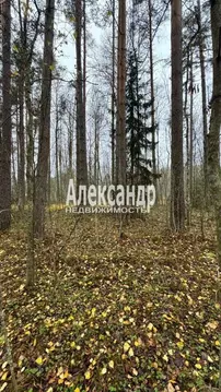 Участок, 10 сот., сельхоз (снт или днп)