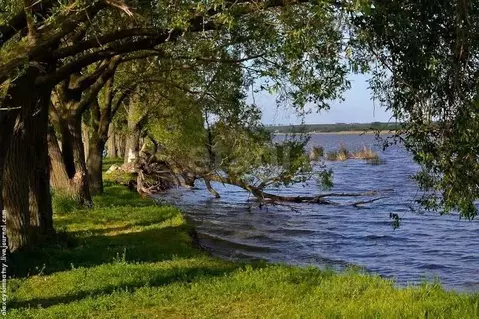 Участок в Ростовская область, Неклиновский район, Самбекское с/пос, ...