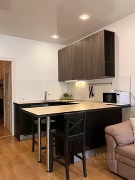 Студия Санкт-Петербург ул. Бутлерова, 11к4 (27.0 м)