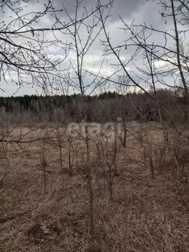 Участок в Курганская область, Щучанский муниципальный округ, д. ...