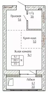 1-к кв. Алтайский край, Новоалтайск ул. Титова, 6 (31.3 м)