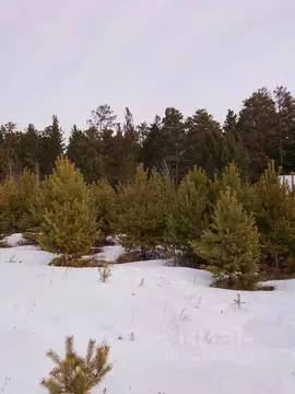 Участок в Иркутская область, Иркутский муниципальный округ, ...