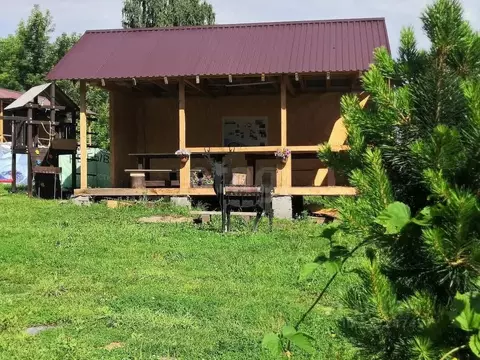 Участок в Алтайский край, Алтайский район, Айский сельсовет, с. Ая ул. ...