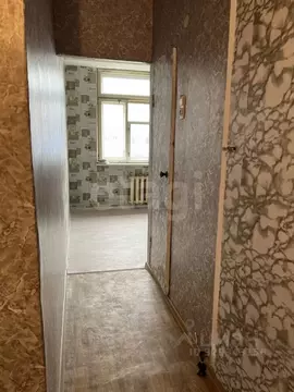 1-к кв. Алтайский край, Бийск Ленинградская ул., 33/1 (34.7 м)